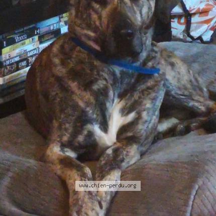 Photo 1/1 Ryta Chien lost in Salle du gardon