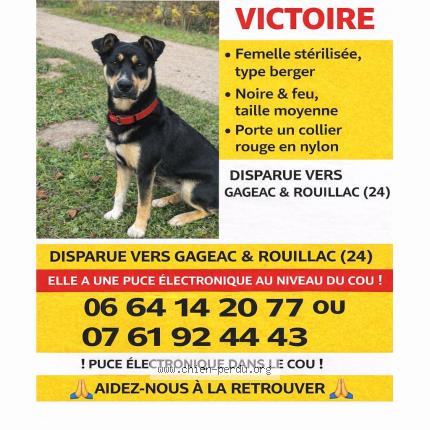 Photo 1/1 Victoire Chien lost in Gageac et rouillac