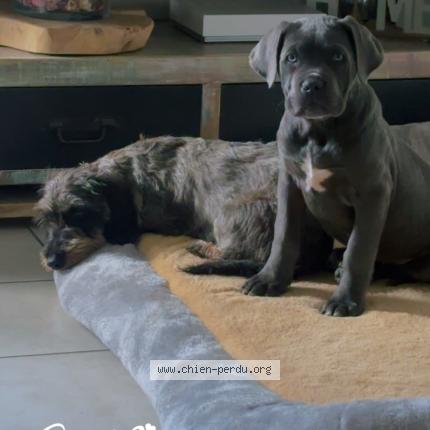 Photo 1/1 Athena Chien lost in La fleche