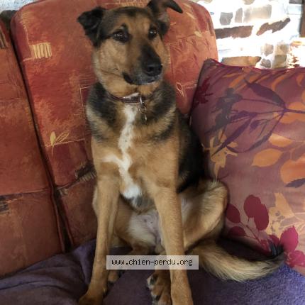 Photo 1/1 Rita Chien lost in Villepot