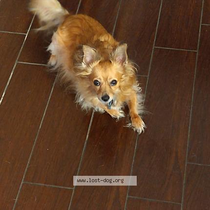 Photo 1/1 Todd Chien lost in El mirage