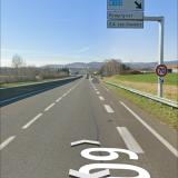 Picture of dog found at Sortie Pompignat