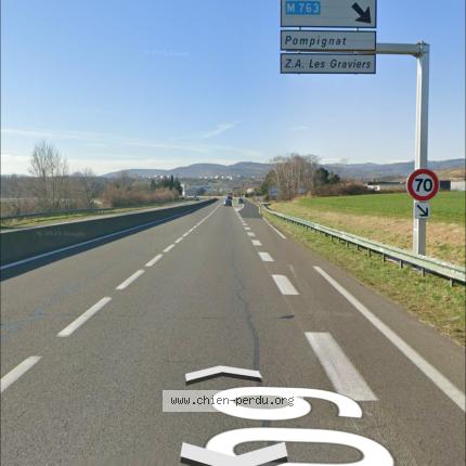 Photo 1/1 Found dog Found in Sortie pompignat