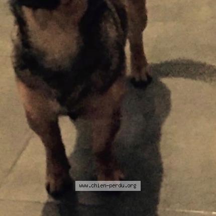 Photo 1/1 Junia Chien lost in Andancette