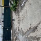 Picture of dog found at Begles