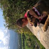 Picture of dog lost at Serignan Du Comtat