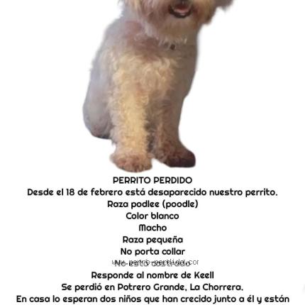 Photo 1/1 Keell Chien lost in Panama