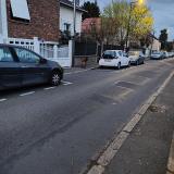 Picture of dog found at Sartrouville