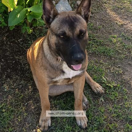 Photo 1/1 Roy Chien lost in Saint paul