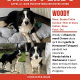 Woody
