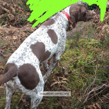 Photo 1/1 Maya Chien lost in Moissac