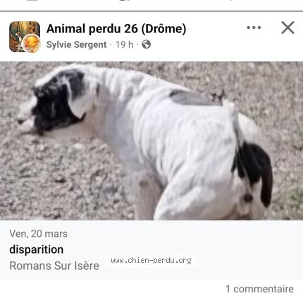 Photo 1/1 Sans nom Chien lost in Romans sur isere