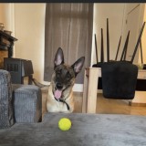 xena