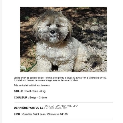 Photo 1/1 Athos Dog lost in Villeneuve