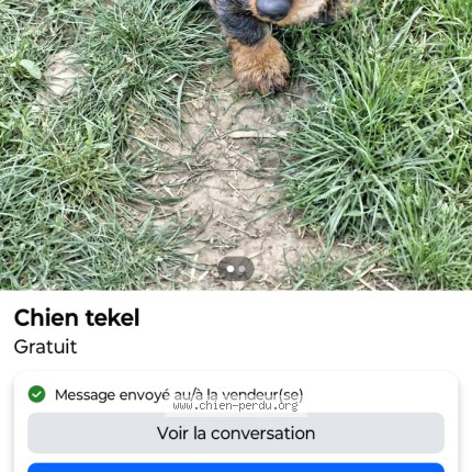 Picture of dog found at St Germain De Longue Chaume