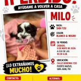 Milo
