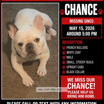 Photo 1/1 CHANCE Dog lost in Milwaukee