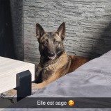 la&iuml;ka