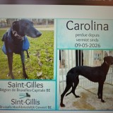 Carolina