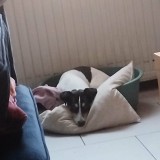 Lilou