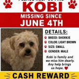 kobi