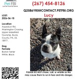 lucy