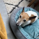 Chester