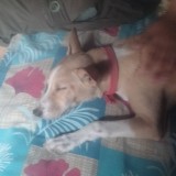 chitru