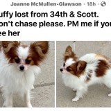 Buffy
