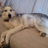 Bella