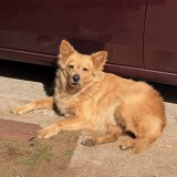 Tucker
