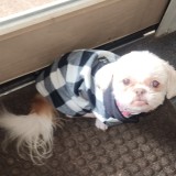 Milli Chanel Graham