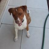 Jimmy