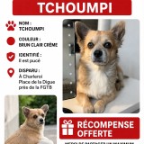 Tchoumpi