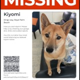 kiyomi