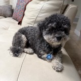 Sophie