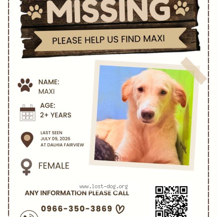 Photo 1/1 Maxi Dog lost in Quezon City