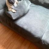 Frank
