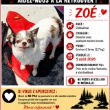 Zoe