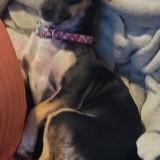 Nina