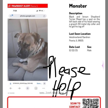 Photo 2/4 monster Dog lost in Peoria