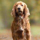Ralph
