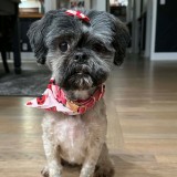 Tillie