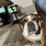 Rambo