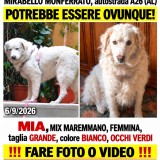 Mia
