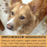 Spritz