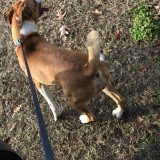 maylee