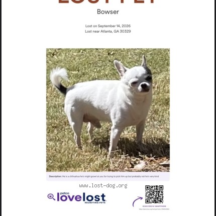 Photo 1/1 Bowser Dog lost in Atlanta