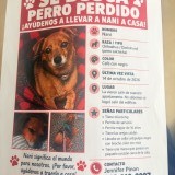 diego pinon