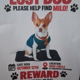 milo